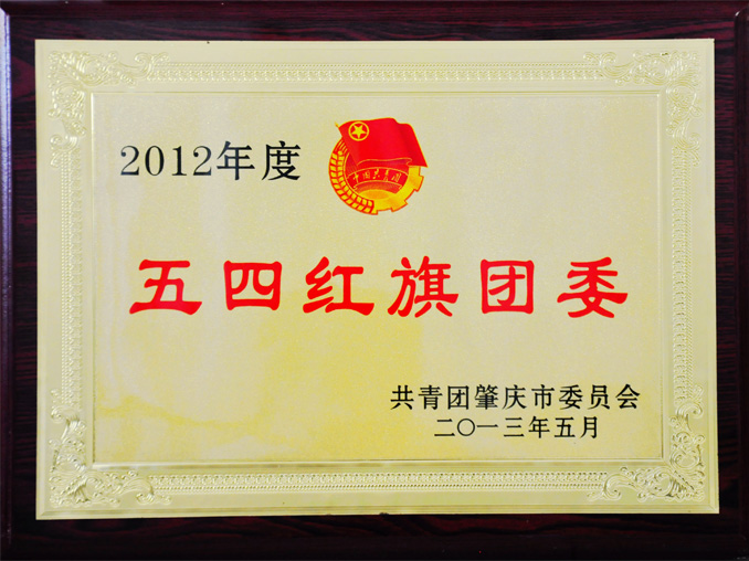 肇庆宏旺团委荣获肇庆市“五四红旗团委”荣誉称号